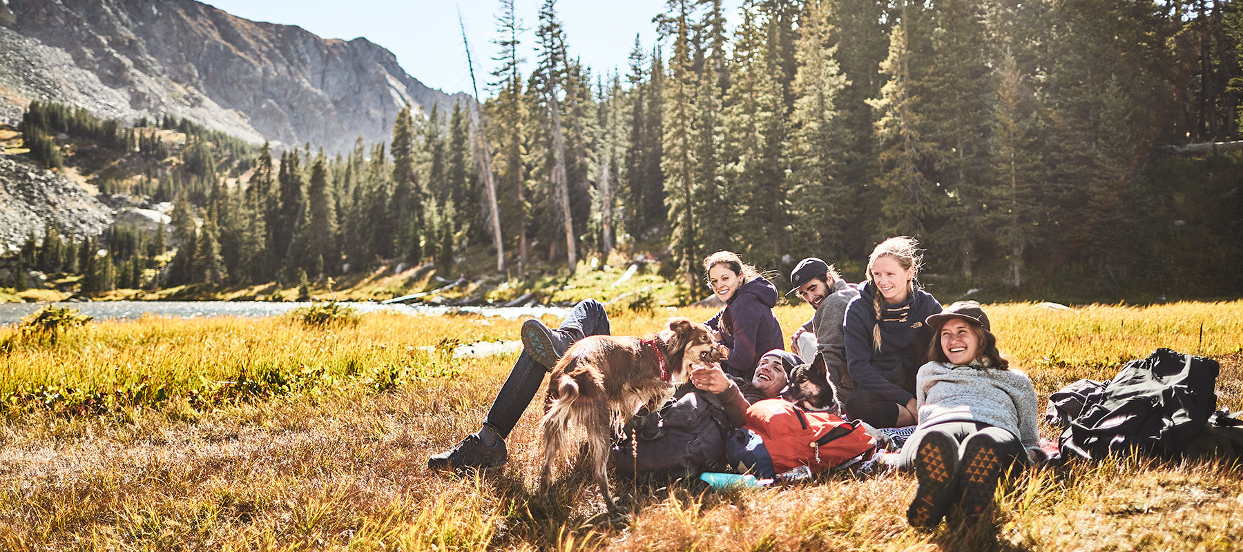 Group of hikers in the forest resting in the sun with a dog