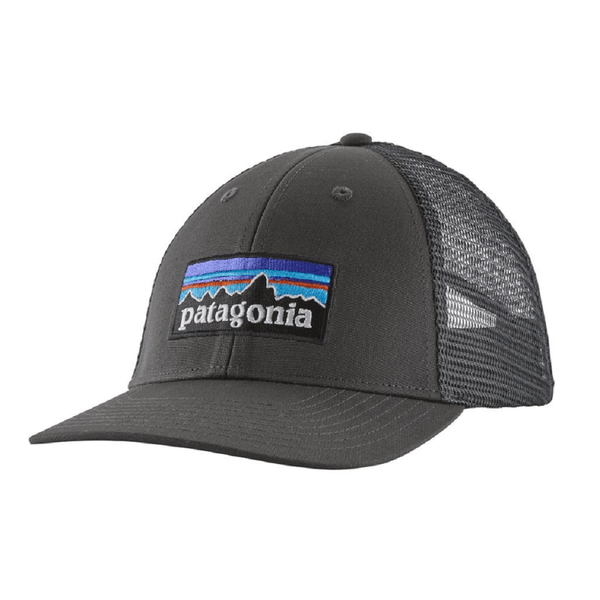 Patagonia Men's P-6 LoPro Trucker Hat