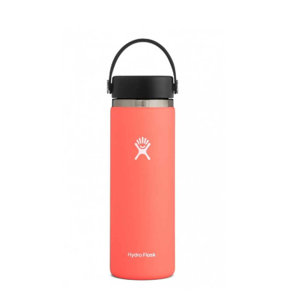 Hydro Flask 20oz Wide Mouth Insulated Bottle with Flex Cap