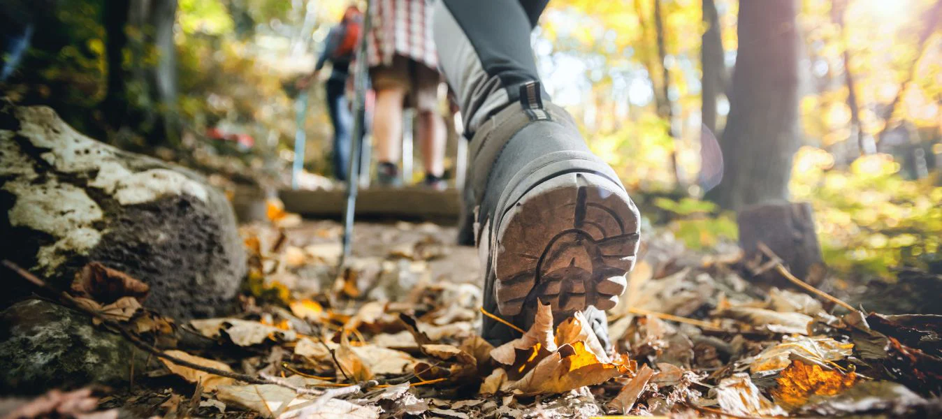 Exploring the Best Hiking Trails in Washington State